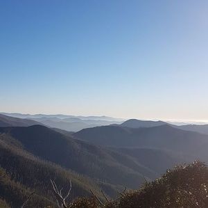 Meet your Posher, Kylie